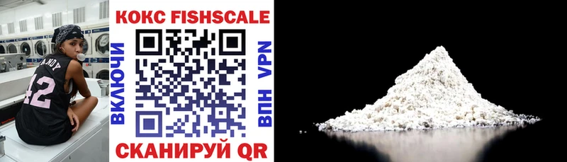 mega ссылка  Куровское  COCAIN FishScale  что такое  